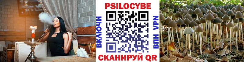 Галлюциногенные грибы мухоморы  Малоярославец 